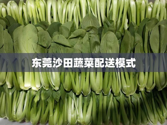 东莞沙田蔬菜配送模式