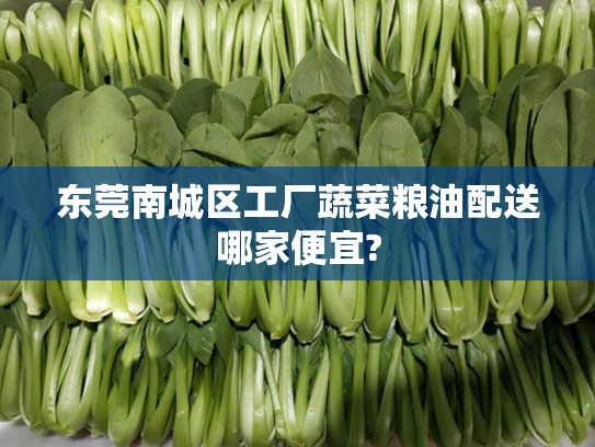 东莞南城区工厂蔬菜粮油配送哪家便宜?