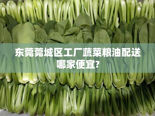 东莞莞城区工厂蔬菜粮油配送哪家便宜?
