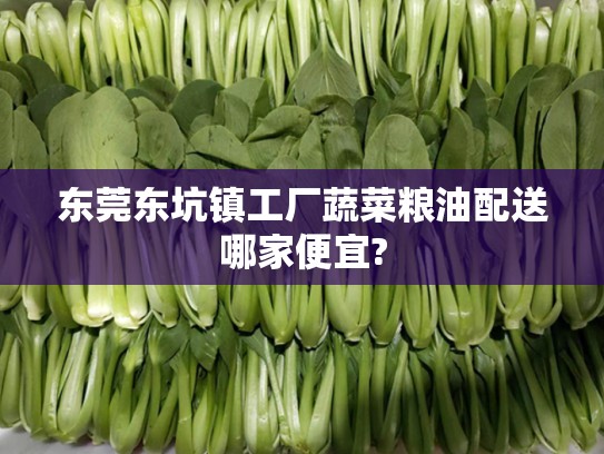 东莞东坑镇工厂蔬菜粮油配送哪家便宜?