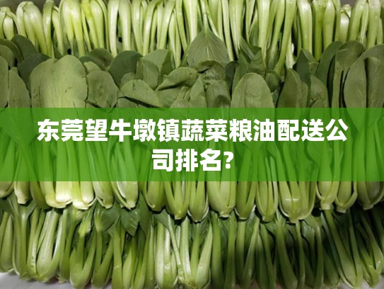 东莞望牛墩镇蔬菜粮油配送公司排名?