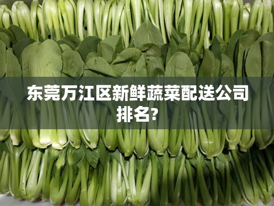 东莞万江区新鲜蔬菜配送公司排名?