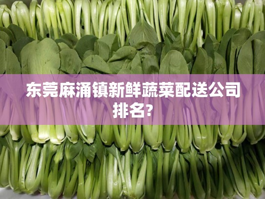 东莞麻涌镇新鲜蔬菜配送公司排名?