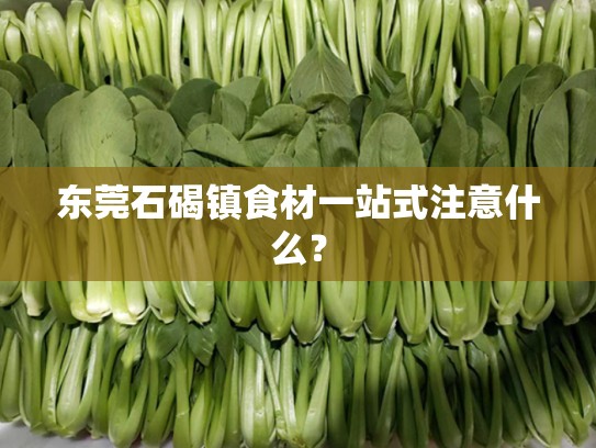 东莞石碣镇食材一站式注意什么？