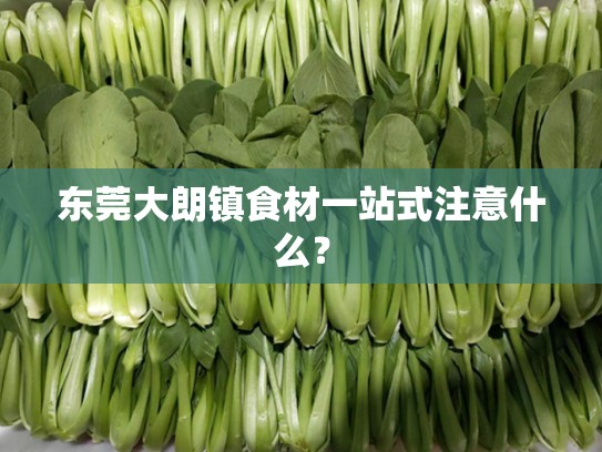 东莞大朗镇食材一站式注意什么？
