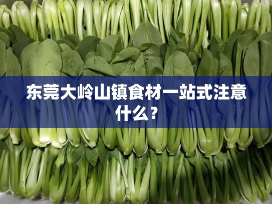 东莞大岭山镇食材一站式注意什么？
