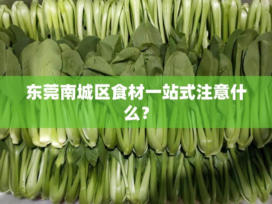 东莞南城区食材一站式注意什么？