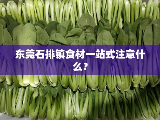 东莞石排镇食材一站式注意什么？