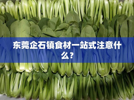 东莞企石镇食材一站式注意什么？