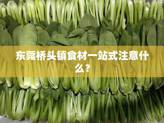 东莞桥头镇食材一站式注意什么？