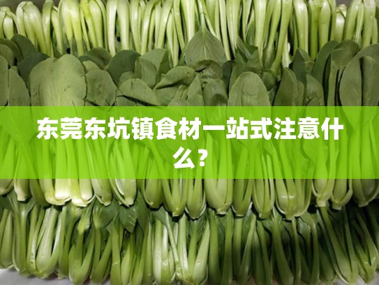 东莞东坑镇食材一站式注意什么？