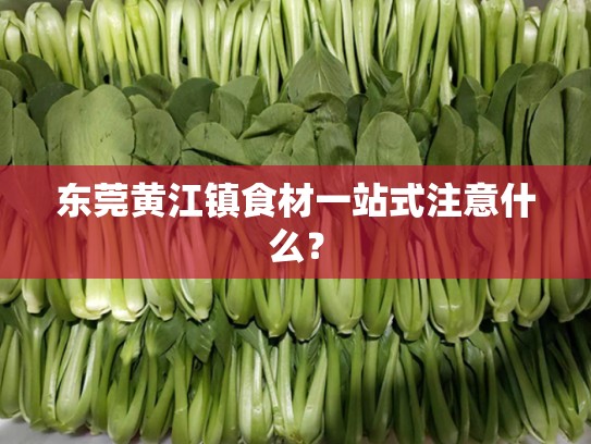 东莞黄江镇食材一站式注意什么？