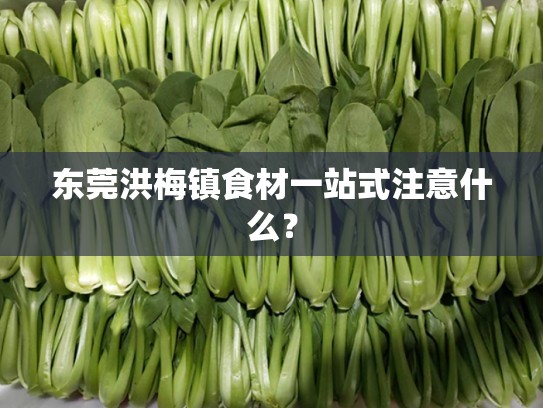 东莞洪梅镇食材一站式注意什么？