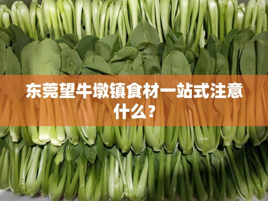 东莞望牛墩镇食材一站式注意什么？