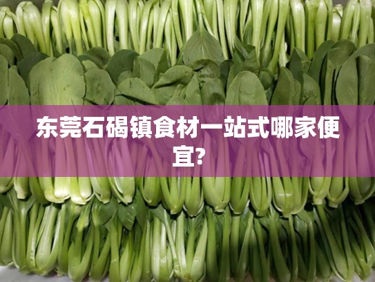 东莞石碣镇食材一站式哪家便宜?