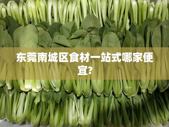 东莞南城区食材一站式哪家便宜?