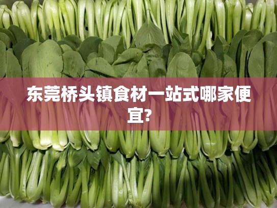 东莞桥头镇食材一站式哪家便宜?