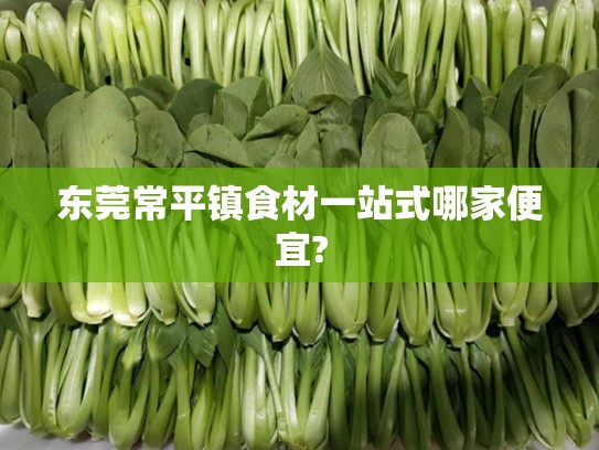 东莞常平镇食材一站式哪家便宜?