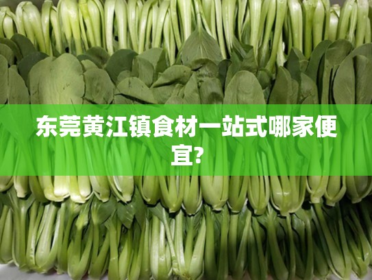东莞黄江镇食材一站式哪家便宜?