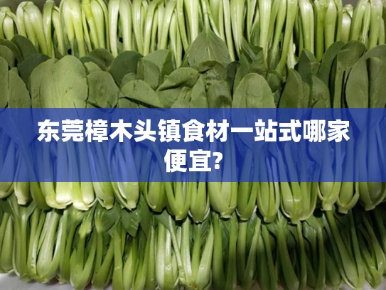 东莞樟木头镇食材一站式哪家便宜?