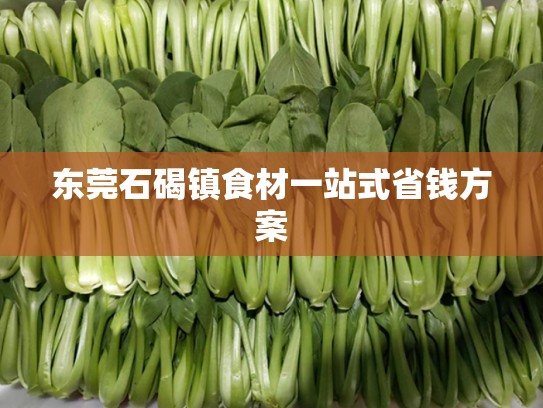 东莞石碣镇食材一站式省钱方案