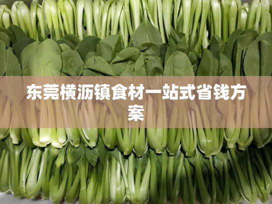 东莞横沥镇食材一站式省钱方案