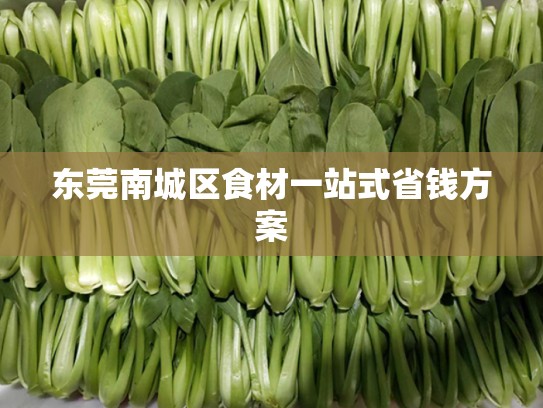 东莞南城区食材一站式省钱方案
