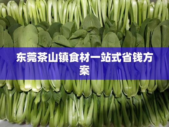 东莞茶山镇食材一站式省钱方案