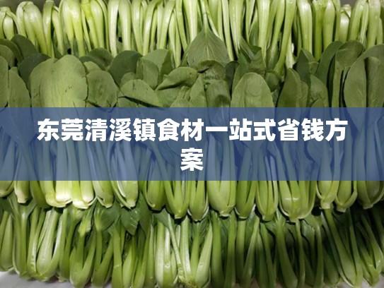 东莞清溪镇食材一站式省钱方案