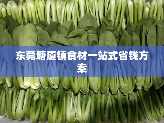 东莞塘厦镇食材一站式省钱方案