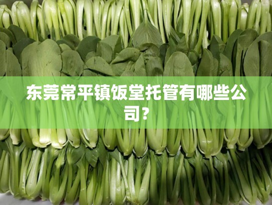 东莞常平镇饭堂托管有哪些公司？