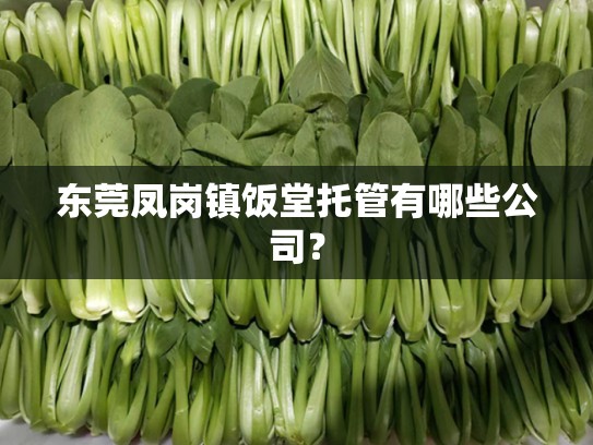 东莞凤岗镇饭堂托管有哪些公司？