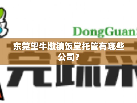 东莞望牛墩镇饭堂托管有哪些公司？