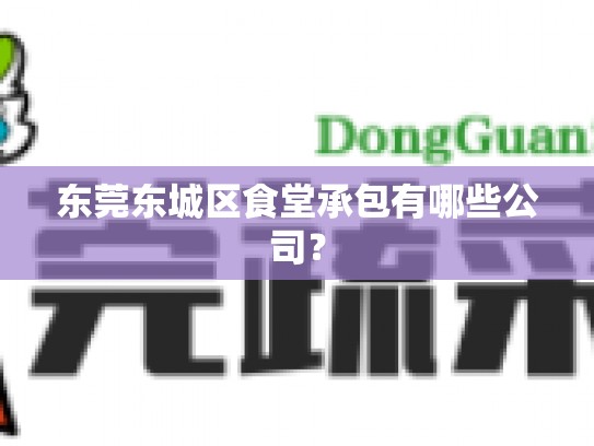 东莞东城区食堂承包有哪些公司？