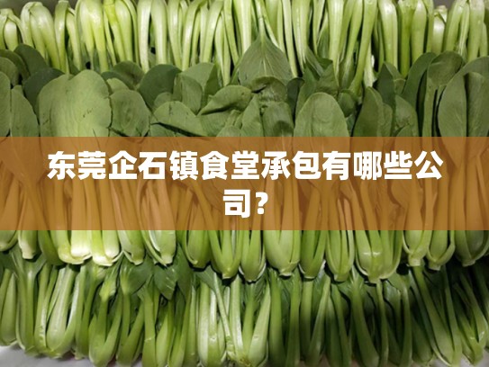东莞企石镇食堂承包有哪些公司？