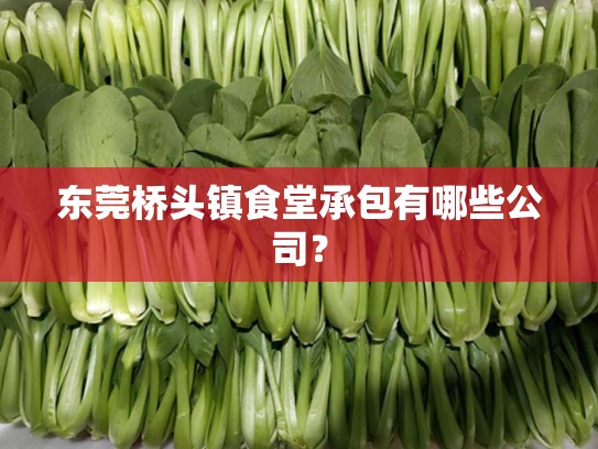 东莞桥头镇食堂承包有哪些公司？