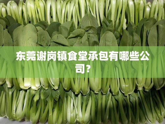 东莞谢岗镇食堂承包有哪些公司？