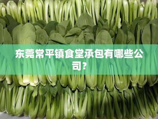 东莞常平镇食堂承包有哪些公司？