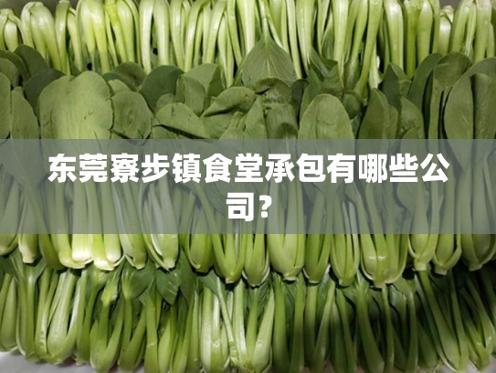 东莞寮步镇食堂承包有哪些公司？
