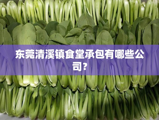 东莞清溪镇食堂承包有哪些公司？