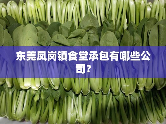 东莞凤岗镇食堂承包有哪些公司？