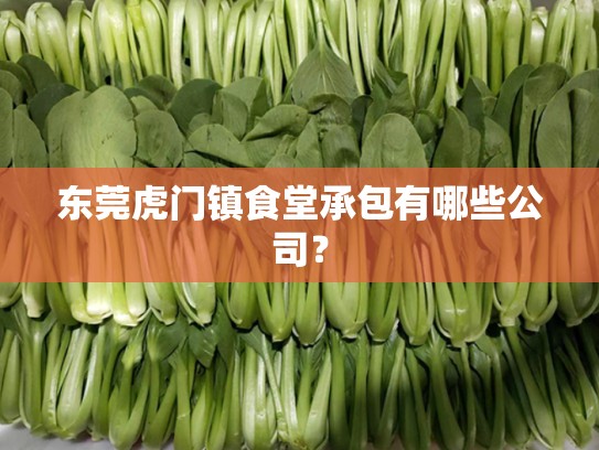 东莞虎门镇食堂承包有哪些公司？