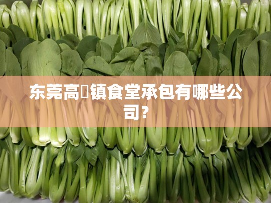 东莞高埗镇食堂承包有哪些公司？