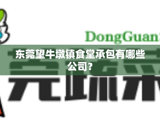 东莞望牛墩镇食堂承包有哪些公司？