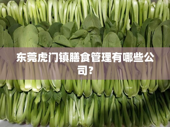 东莞虎门镇膳食管理有哪些公司？