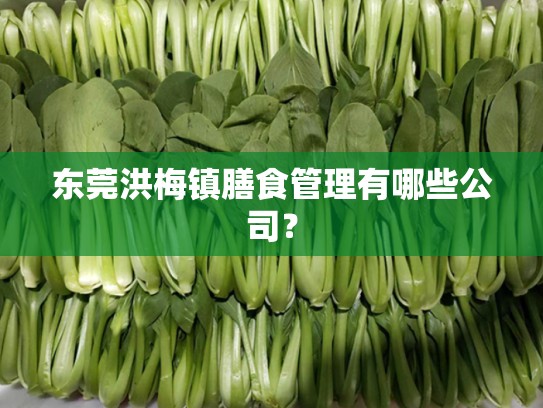 东莞洪梅镇膳食管理有哪些公司？