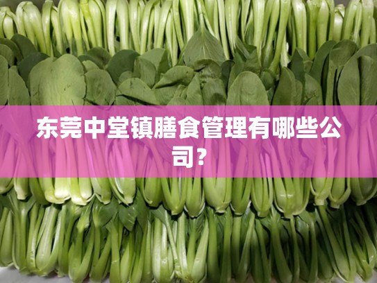 东莞中堂镇膳食管理有哪些公司？