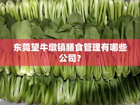 东莞望牛墩镇膳食管理有哪些公司？