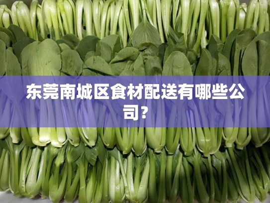 东莞南城区食材配送有哪些公司？