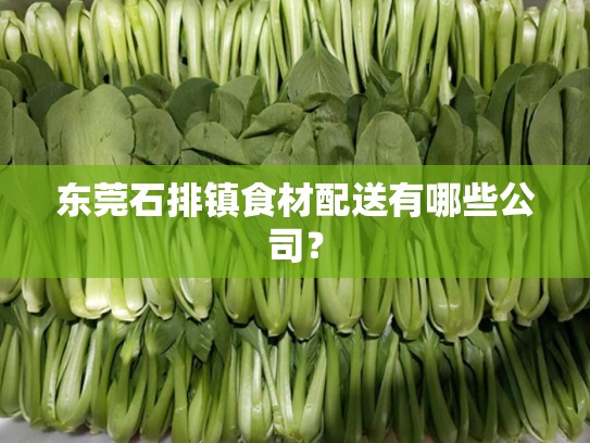 东莞石排镇食材配送有哪些公司？